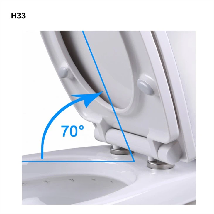 Quick Release Hinge Toilet Rooj