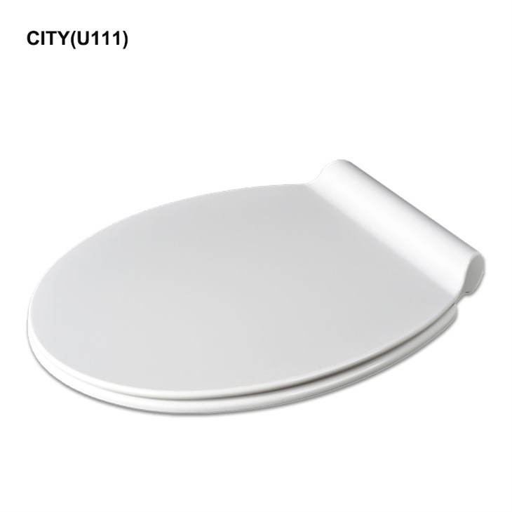 Round Bowl Toilet Rooj
