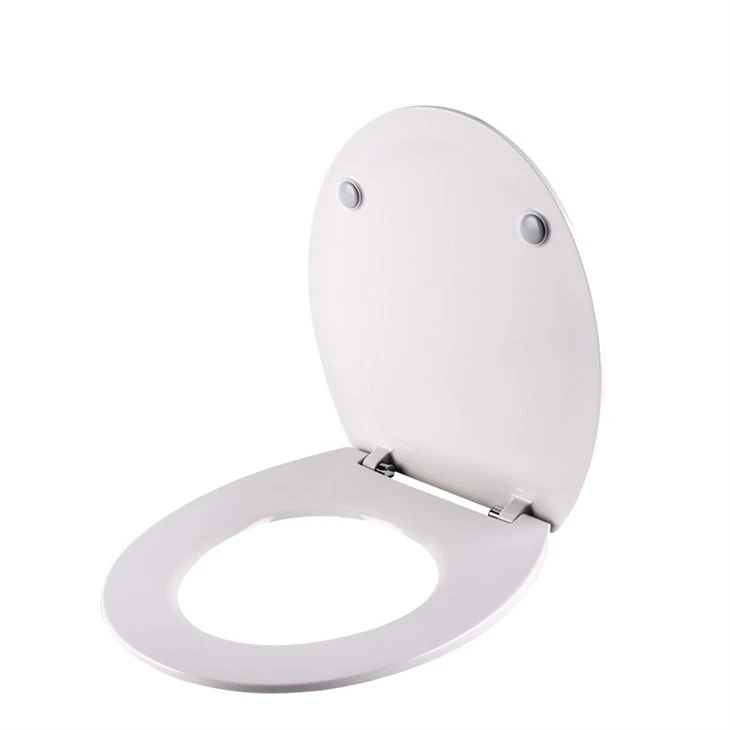 4 decorative-toilet-seat