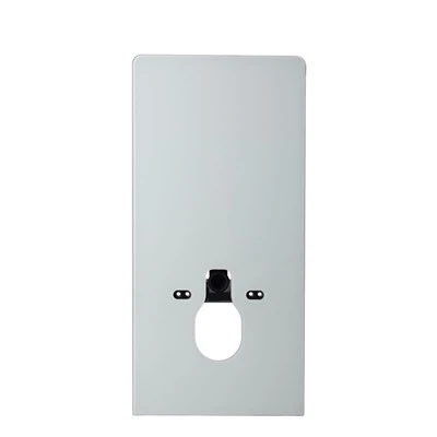 Concealed Cistern Dual Flush