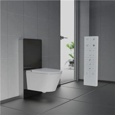 Concealed Toilet Thiab Cistern