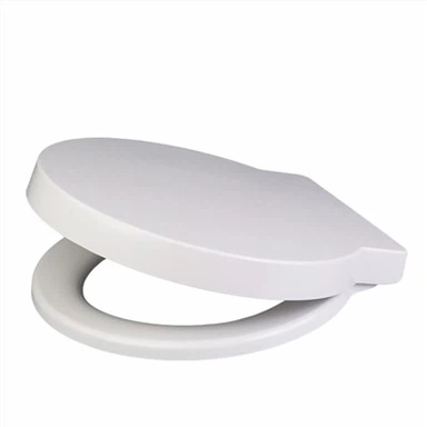 Flat Toilet Rooj