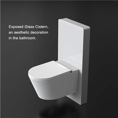 Pneumatic Toilet Cistern