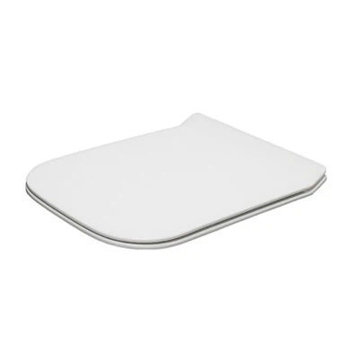 Square Slim Toilet Rooj