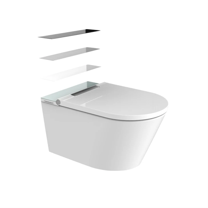 Toilet Heated Bidet