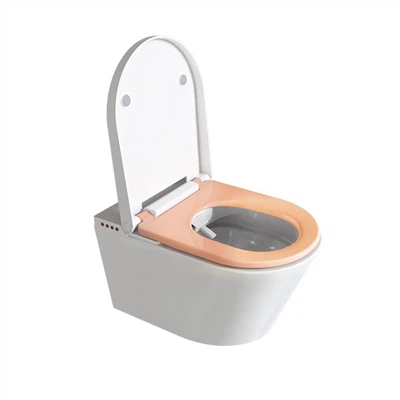 Bidet Toilet nrog dej sov thiab tshuab ziab khaub ncaws