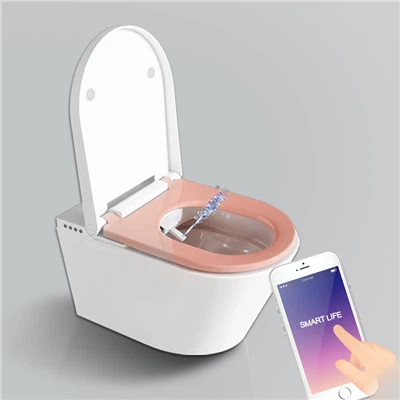 Luxury Smart Toilet Nrog Chaw Taws Teeb thiab Tshuab ziab khaub ncaws